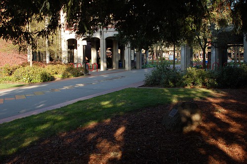 Sacramento City College 2012. Kate Paloy