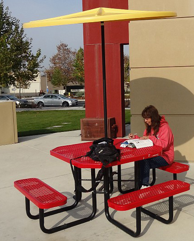 PICTURE OF THE DAY-Nov. 27, 2012.  Linda Kelly, 56 real estate major studies at a picnic table outside the City College West Sacramento Satelite. Thomas Froberg | frobergtom@yahoo.com