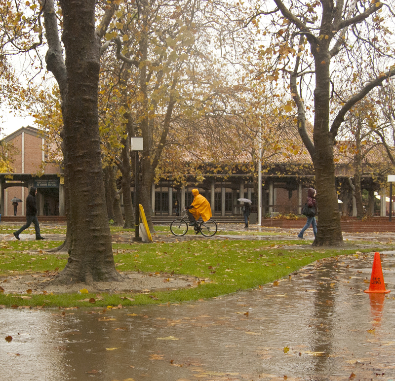 Students make their way across the City College quad in the rain.