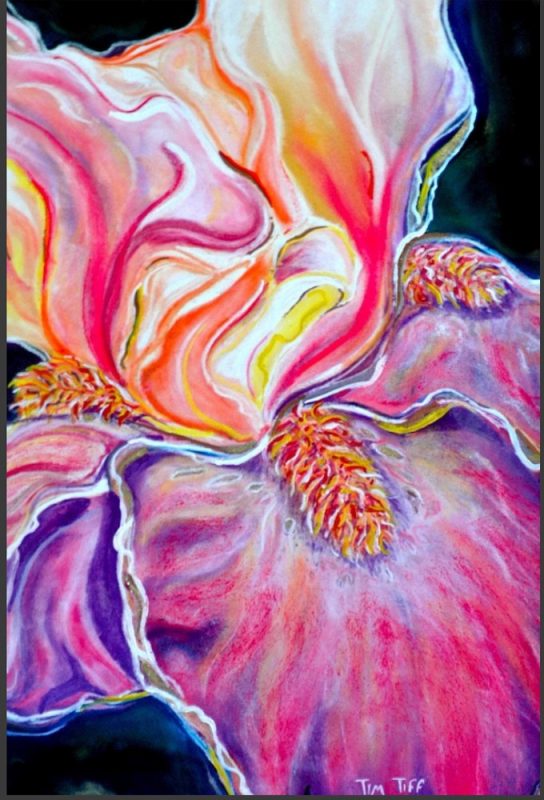 City College student Tim Tiffs work Pink Iris in Bloom, displayed in 2012 at Folsom Lake College in the Disability Awareness Art Show. Image courtesy of Tim Tiff.
