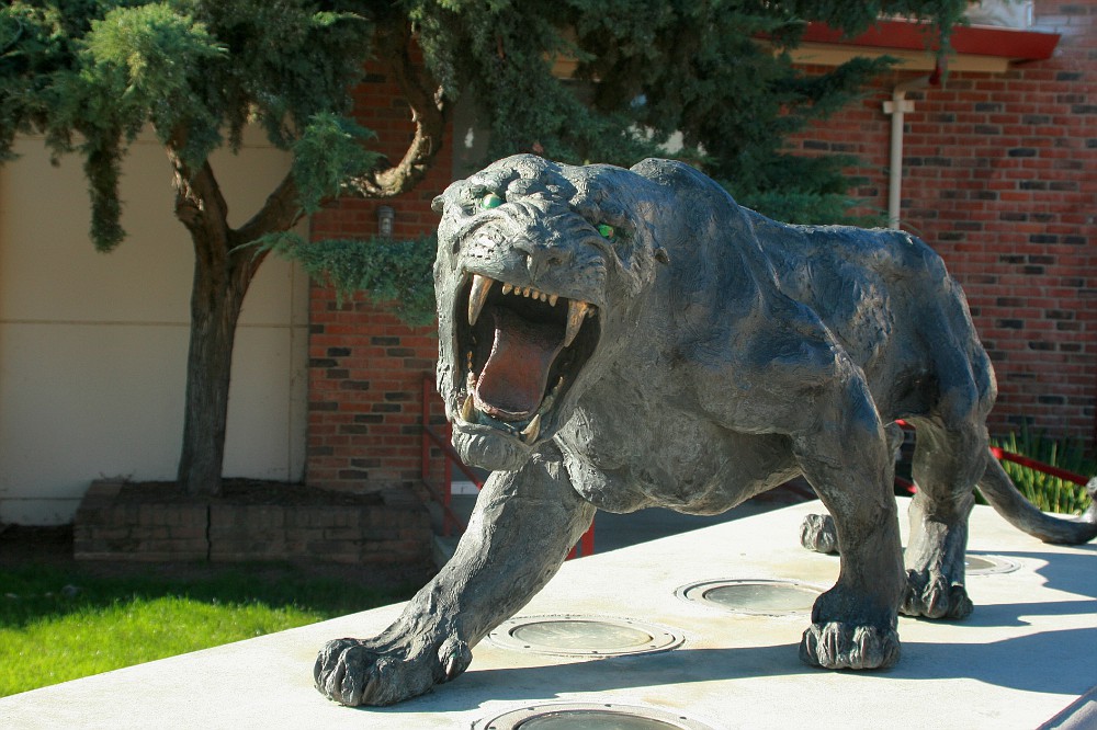 The City College Panther is going for something a bit more edgy than the 