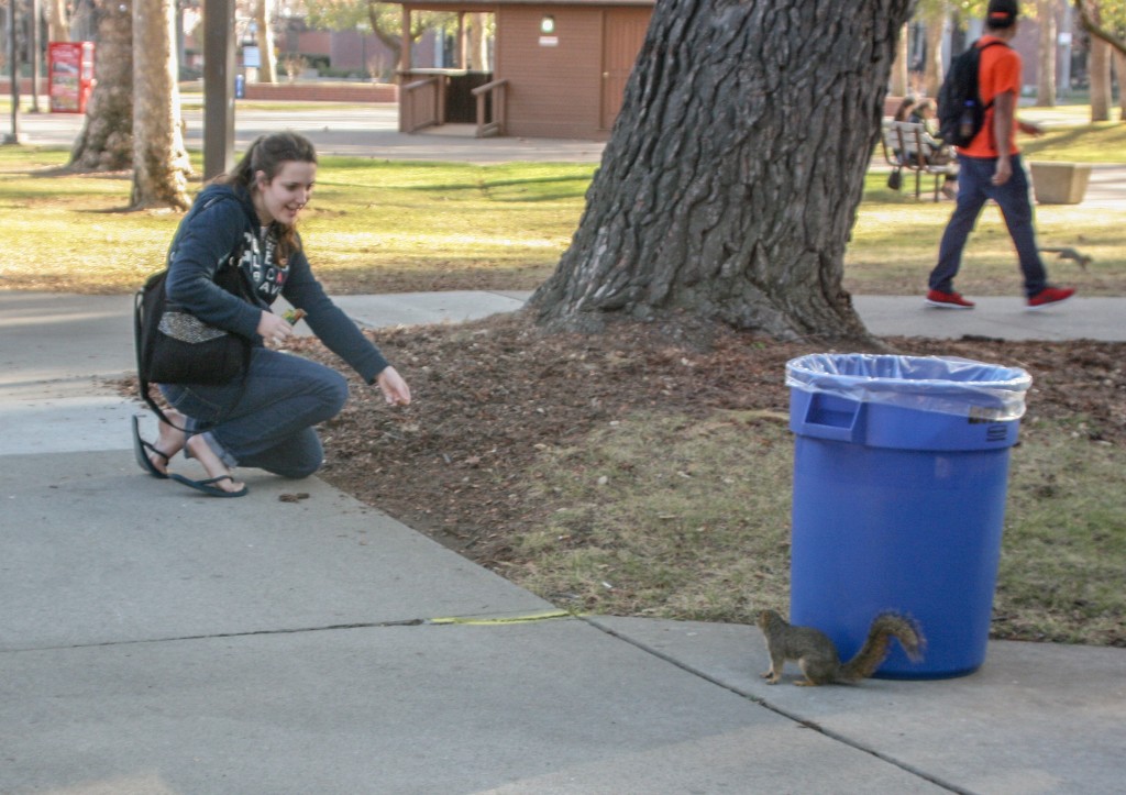 City College biology major Sarah Harms feeds a squirrel Jan. 24 in the Quad. Teri Barth | Online Editor | express.teri.barth@gmail.com