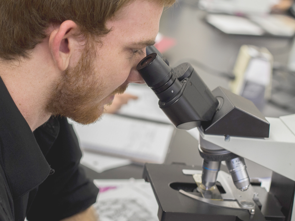 Biology major Aaron Penrose looks through a microscope at slides of various muscles types during his BIO 430 class in Lillard Hall March 19 to identify their different characteristics. Photo by Tamara M. Knox l Online Photo Editor l tmrknox@gmail.com