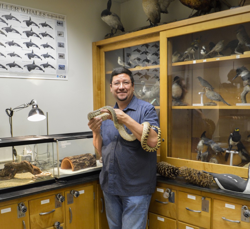 City College professor David Wyatt keeps his pet snake, Mr Big, in his lab.