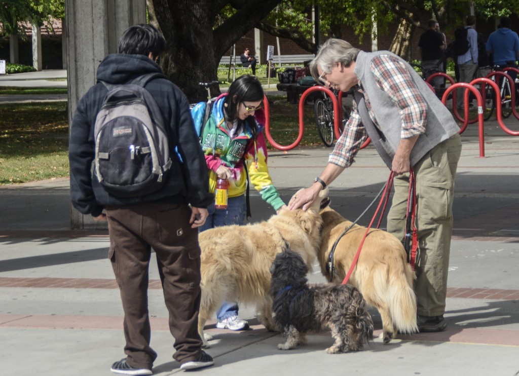 Mr. Cliff Popejoy walking his three dogs through campus April 6, 2015. He stopped to let City College students pet them. Chris Williams | Staff Photographer.