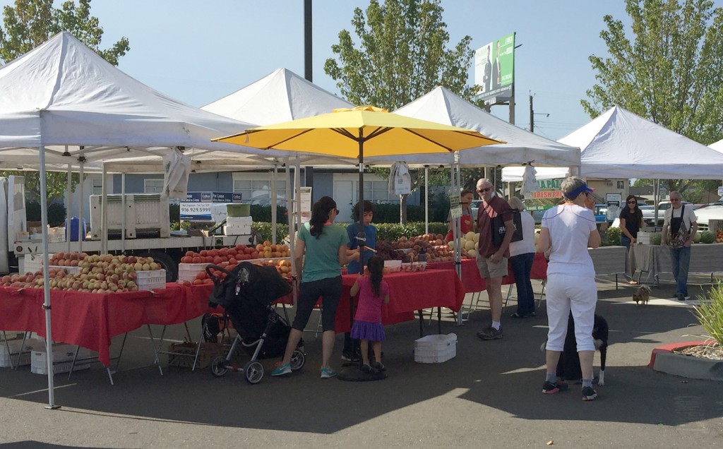 Local neighborhood families out enjoying the the Farmers Market on the City College campus Sunday Aug. 31, 2015.