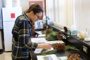 City College student Leesa Dixey, Biology and Field Ecology major, looks at the plants laid out for Conifer Lab II in Virginia Meyer's Field Botany class. Emily Peterson, Staff Photographer. |emilypetersonexpress@gmail.com