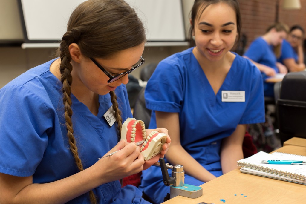 City College dental assinting students Sofiya Sedykh and Bianca Rusconi working on ortho separators in the Rodda South building on April 25, 2016. Hector Flores, Staff Photographer. | hectorfloresexpress@gmail.com