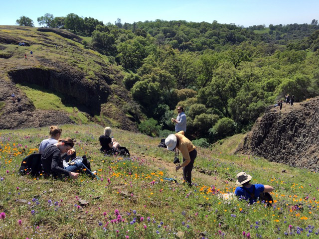 Virginia Meyer's field botany class taking a rest from identifying flowers to admire the over look of Table Mountain. Emily Peterson, Staff Photograher. | emilypetersonexpress@gmail.com