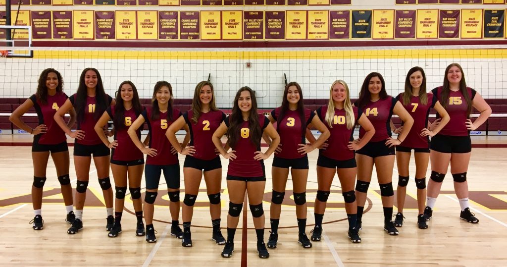 They can dig it; Panther volleyballs outlook for fall