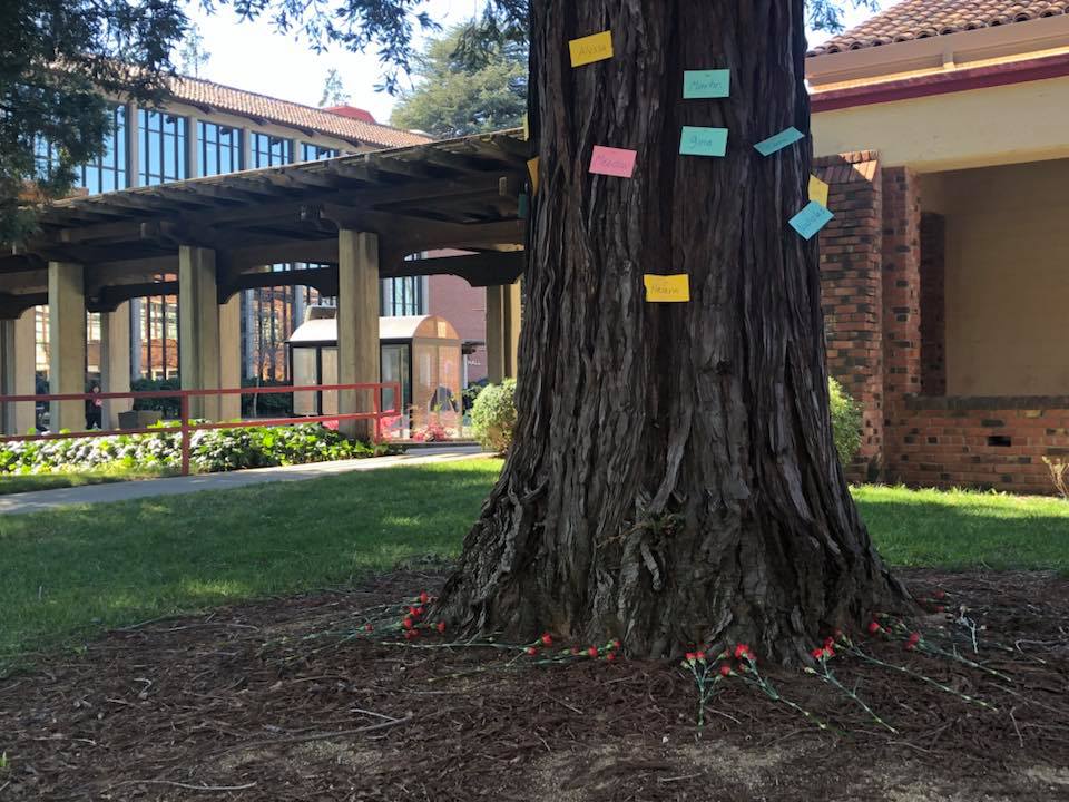City College students from the Psychology of Death and Dying class pinned the names of the Marjory Stoneman Douglas High School victims on two trees outside their classroom near the Performing Arts Center Feb. 21. Photo by Megan Horn | Staff Photographer | mhorn.express@gmail.com