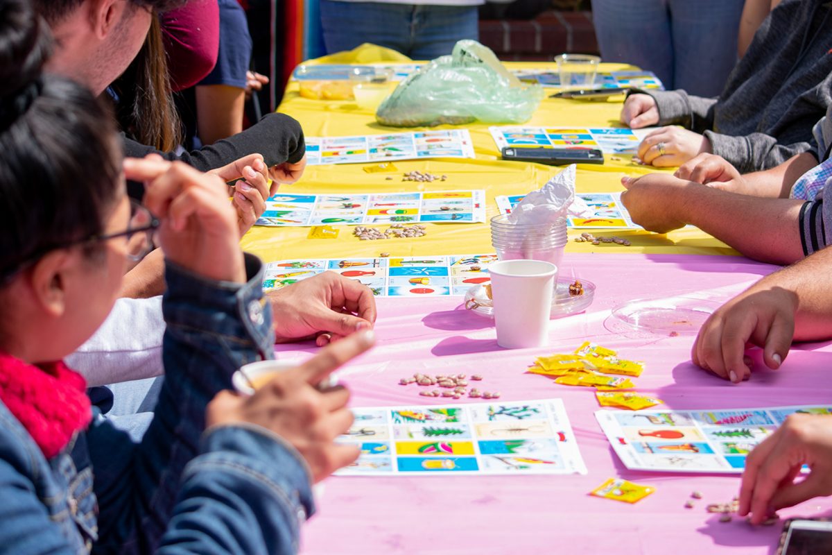 Group of students playing Lotería. | Art Court | Sacramento, Calf.  | Thursday 09-19-2019 | Photo by Zoie Panagopoulos | Staff Photographer | zpanagopoulos.express@gmail.com