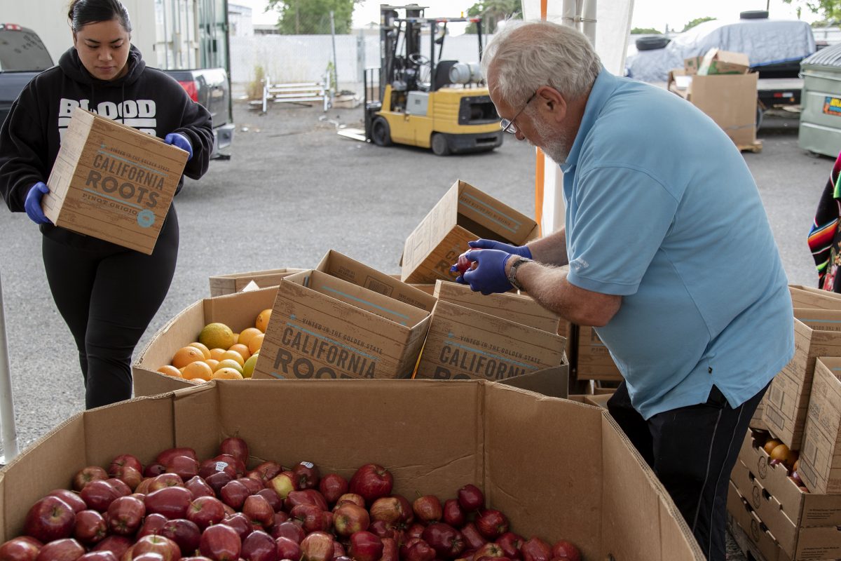 City College students Tammi Maui, left, registered nursing major, brings boxes to Phillip Darghty, sociology major, as he fills them with fruit at the food distribution at New Covenant Agape Ministries in Sacramento, California, Wednesday, May 13, 2020. New Covenant Agape Ministries has food distributions Tuesday through Saturday from 9-10 a.m. (Sara Nevis/snevis.express@gmail.com)