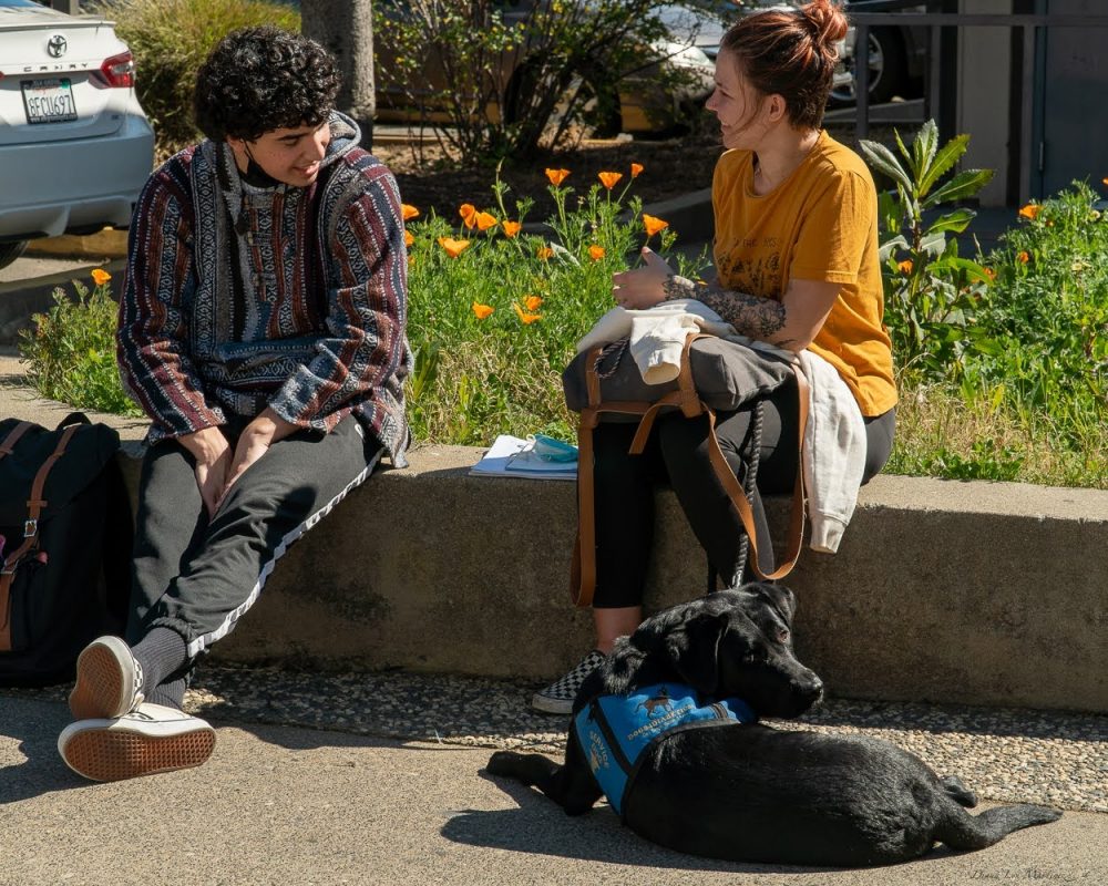 Gannon Janisch (left) and Alexa Bever (right) are having a discussion while Bever’s service dog, Ventura, is basking in the sunlight. Photo Credit: Diana Martinez / dmartinez.express@gmail.com