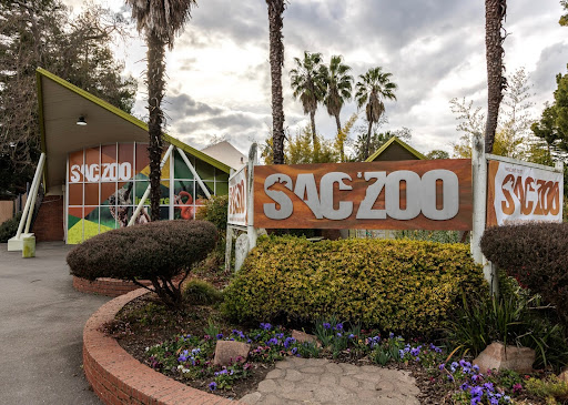 Sacramento Zoo located in Land Park, Tuesday March 5,2024. “We are incredibly excited about the potential new zoo and the opportunity for the animals to have larger habitats,” said Andrea Haverland, the zoo’s outreach and communications coordinator, about a likely move to Elk Grove.